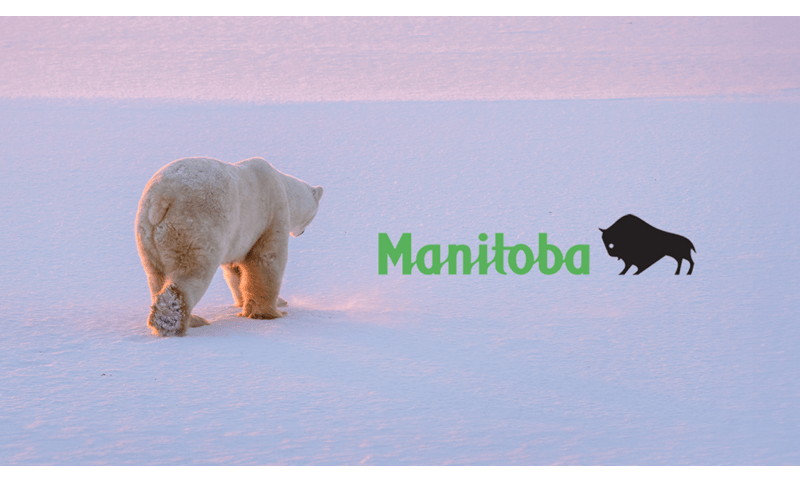 MB & NB Databases
